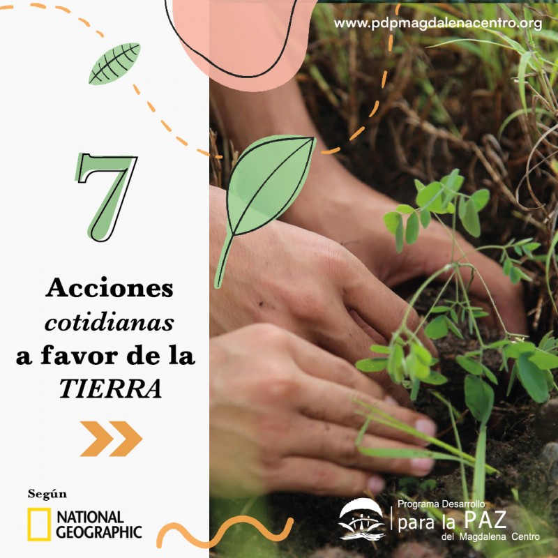 7 acciones cotidianas a favor de la Tierra