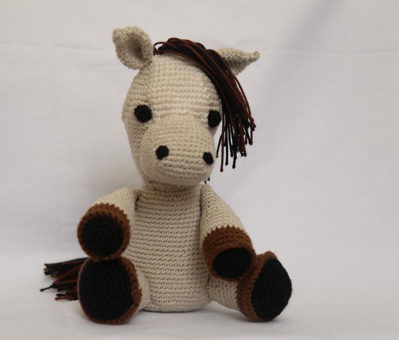 Caballo Pony
