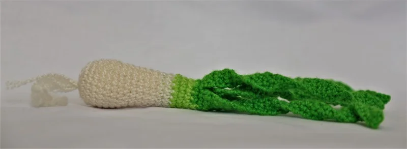Cebolla larga